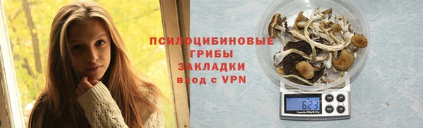 дурь Гусь-Хрустальный