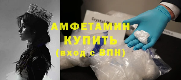 гашик Горняк