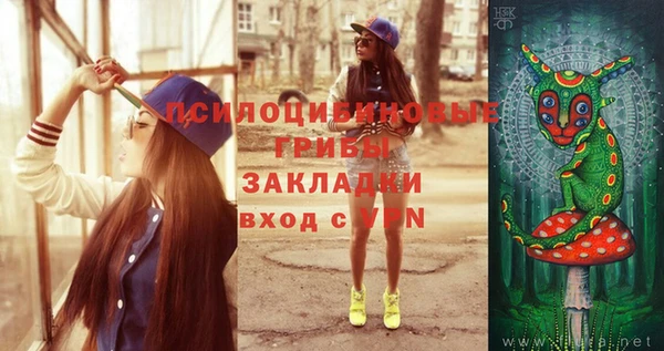 марки nbome Гусиноозёрск