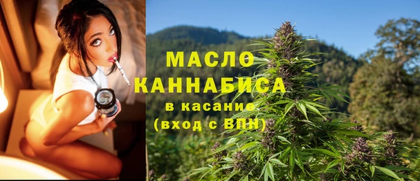 гашик Горняк