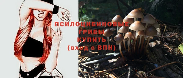 дурь Гусь-Хрустальный