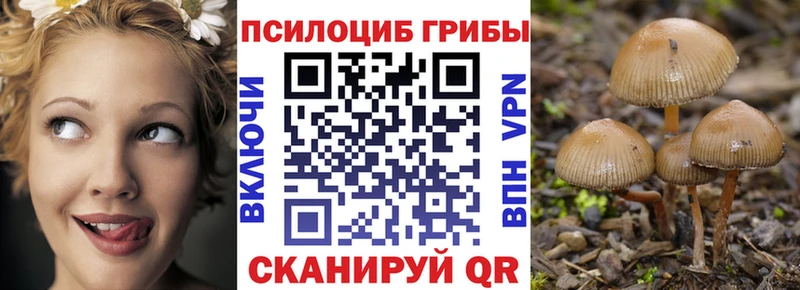 Псилоцибиновые грибы Psilocybine cubensis  ОМГ ОМГ как зайти  Ершов 
